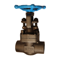 What class is the valve?